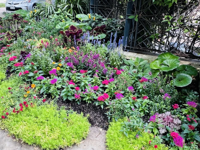garden summer