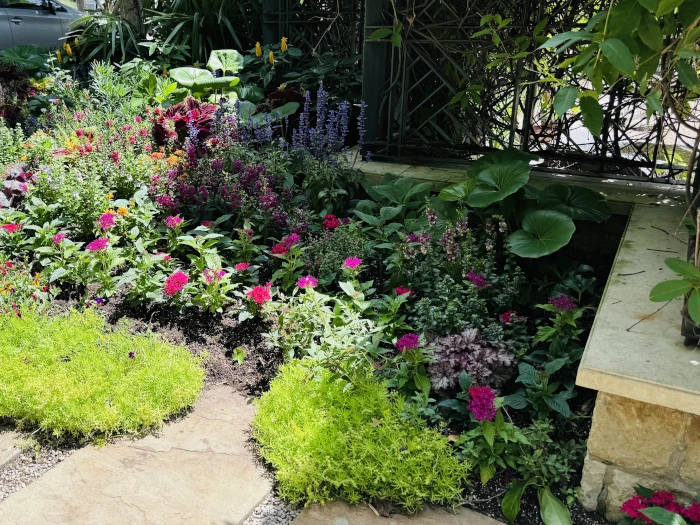 garden summer 3