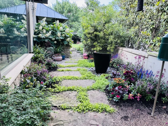 cover foliage