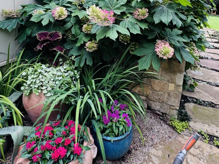 foliage garden