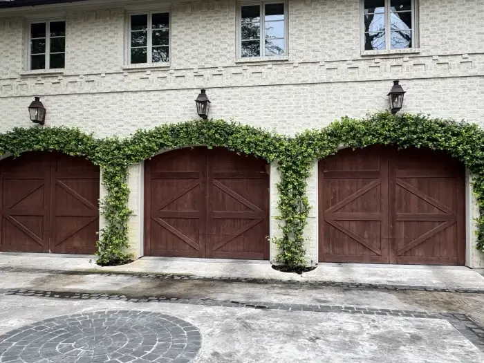 garage vines