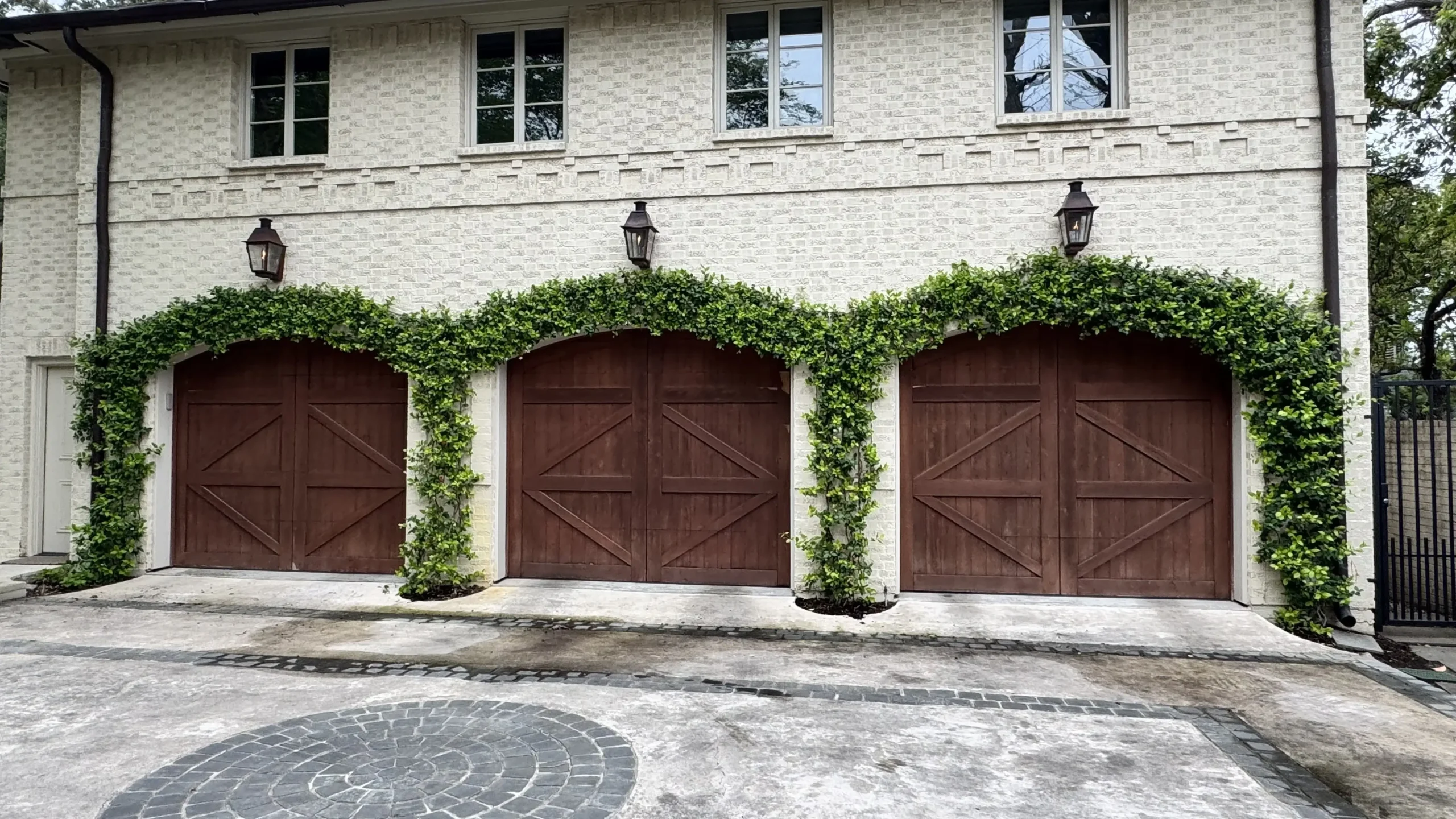 garage vines 1