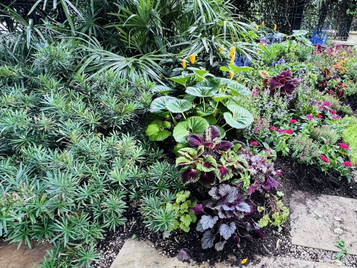 summer garden 1